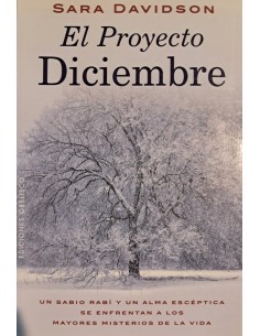 EL PROYECTO DICIEMBRE..